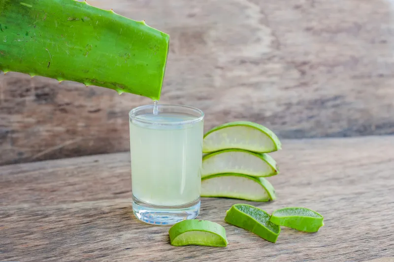 Odla aloe vera i en banan