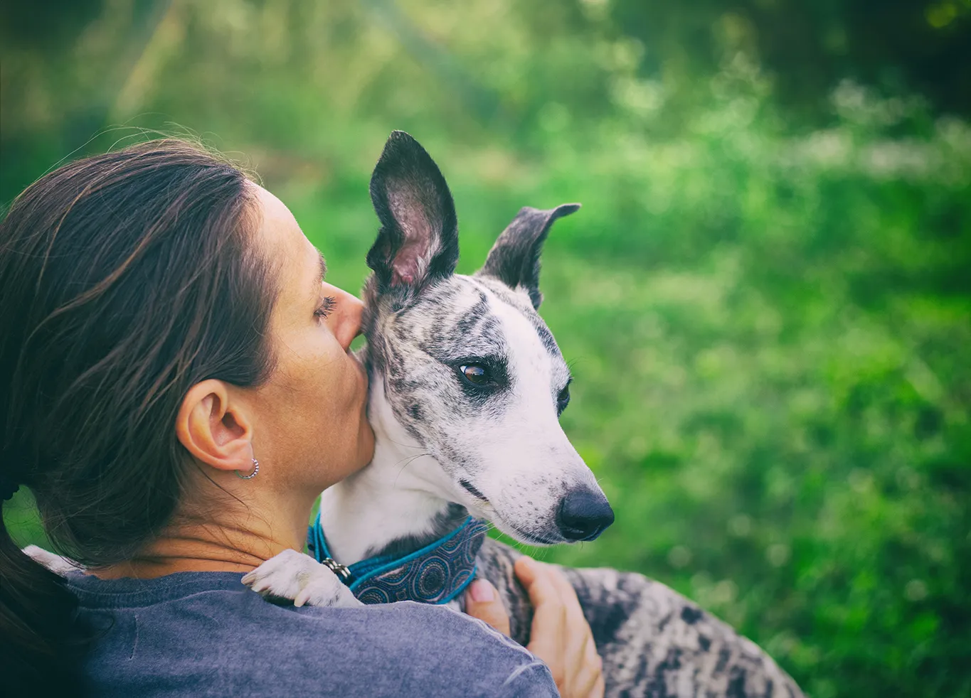 Att leva med hund – hälsa, ansvar och kunskap